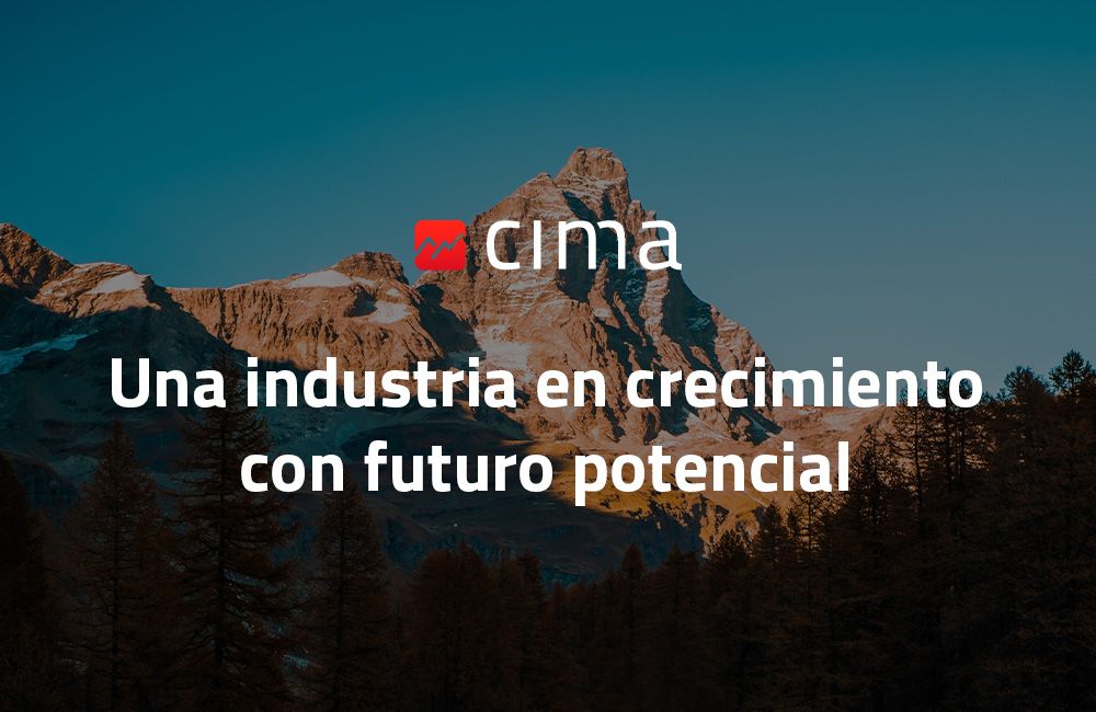 Interim Management: una industria en crecimiento con futuro potencial